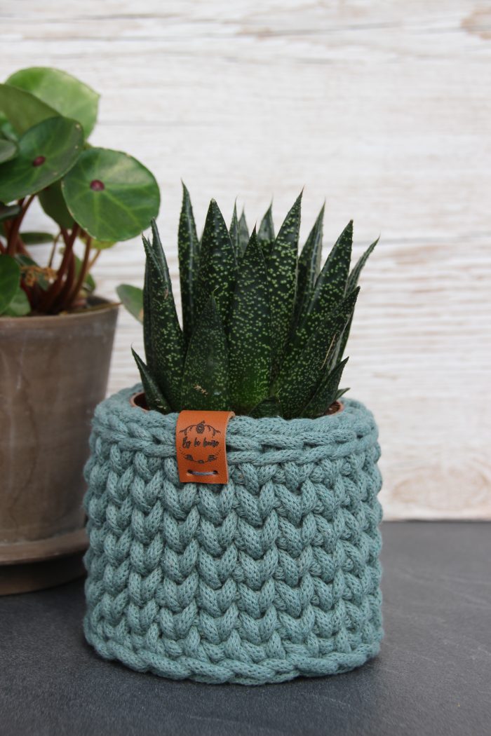 cache pot succulente
