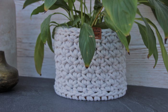 cache pot plante verte