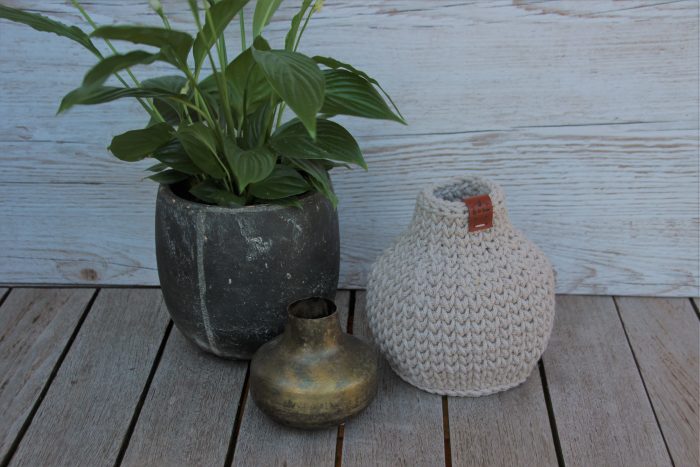 vase fleurs séchées