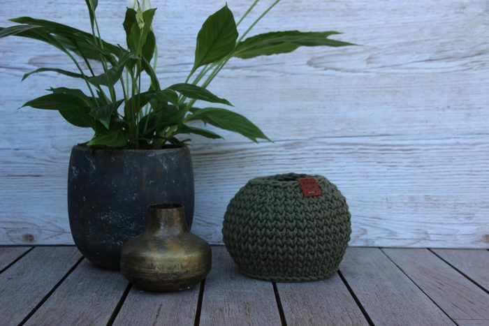 vase fleurs séchées